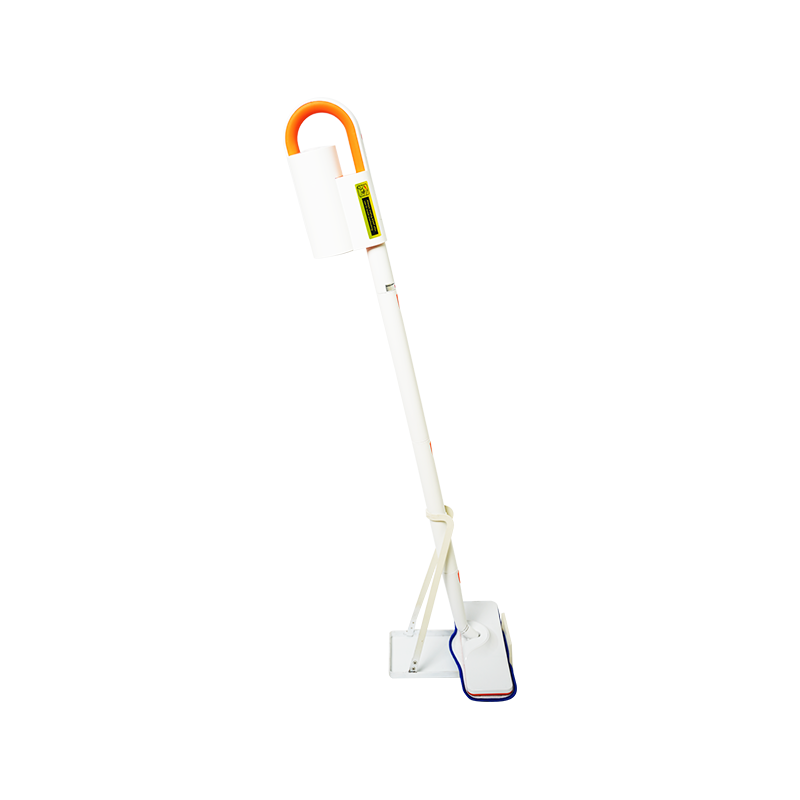 2 In I Steam Mop And Handheld Steam Cleaner