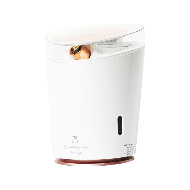 Warm And Cold Facial Steamer